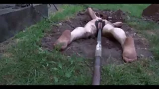 Prljava bijela kurva Kayla zadovoljava najbolji porno film veliki crni kurac napaljenog BBC klijenta