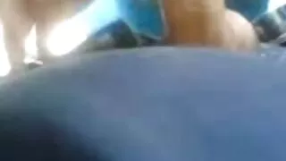 Prljava crnka amaterka Ariana Jollee skače najbolji video sex na uzbuđenog frajera obrnutu kaubojku