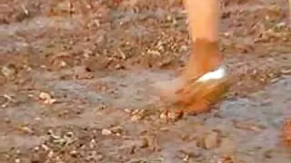 Napaljeni klinci napali su jednu najbolji porno filmovi crnku slatku Evu Ellington u bazenu